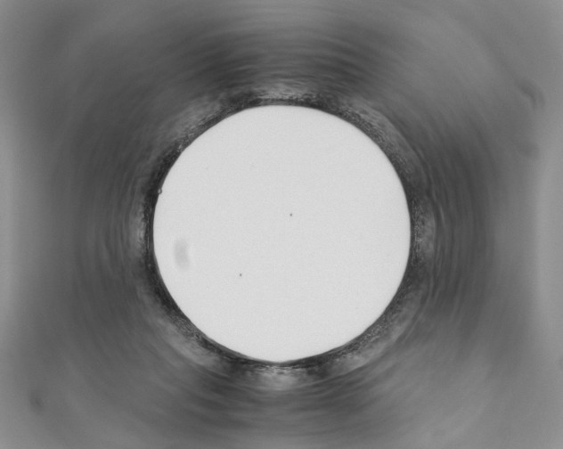 X0000110930261200907301629