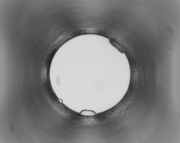 X0000110930262200907301629