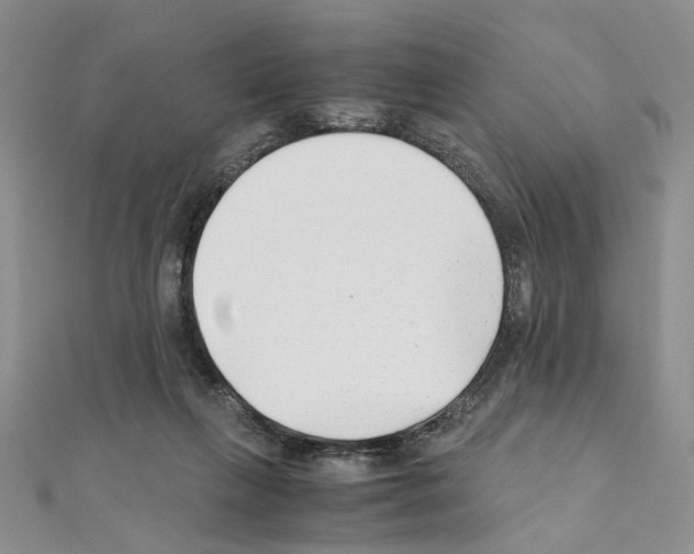 X0000110930263200907301629