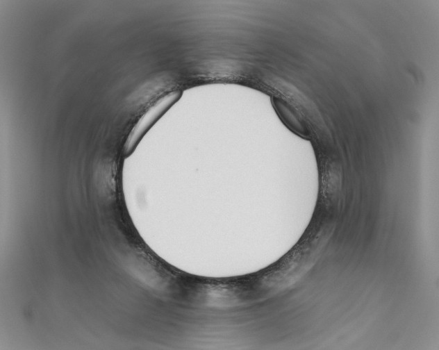 X0000110930264200907301629