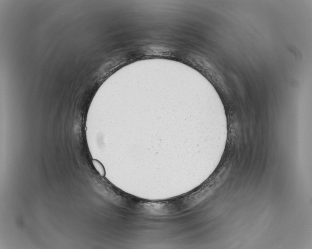X0000110930265200907301629