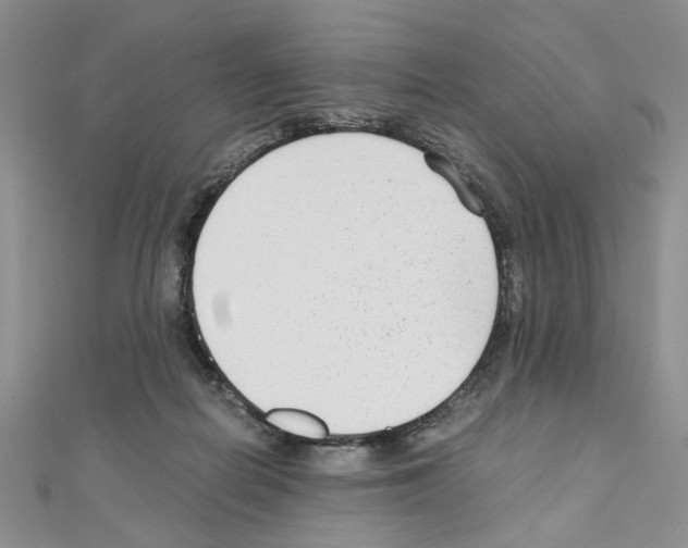 X0000110930266200907301629