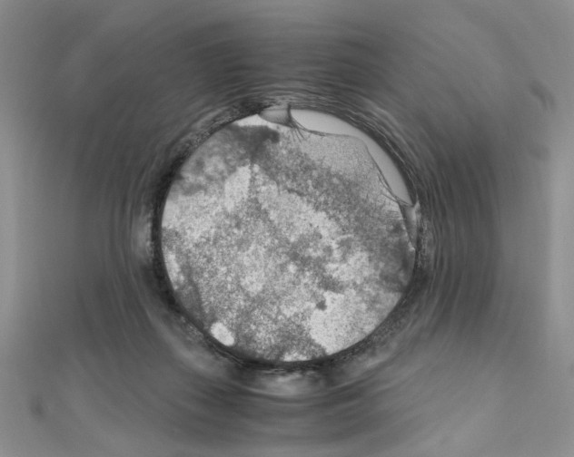 X0000110930267200907301629