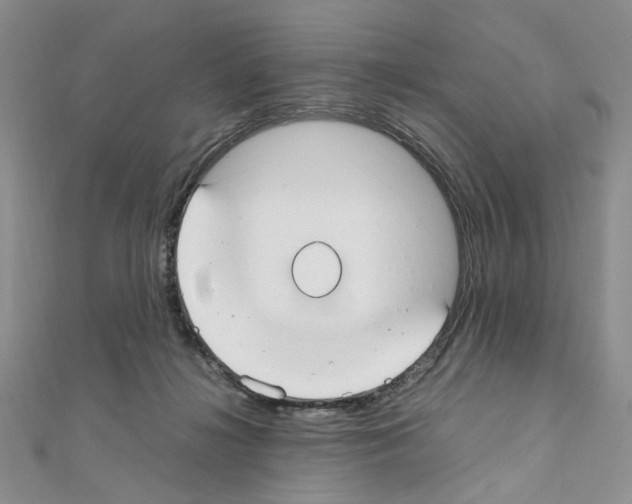 X0000110930268200907301629