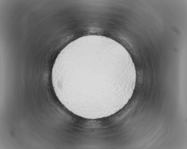 X0000110930269200907301629