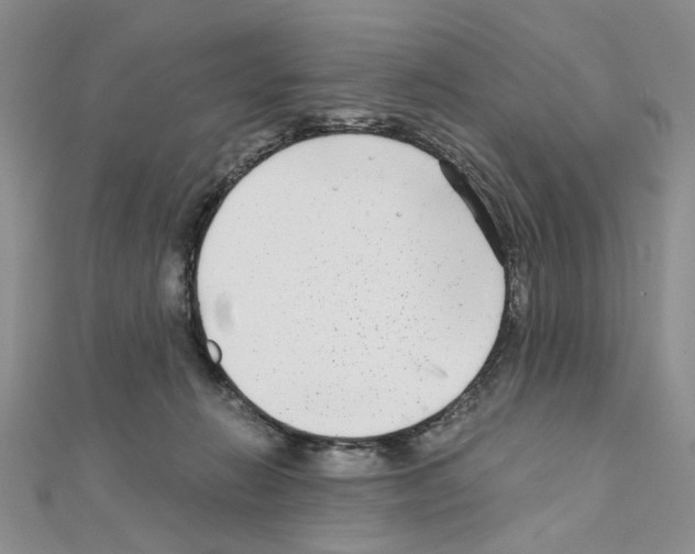 X0000110930270200907301630