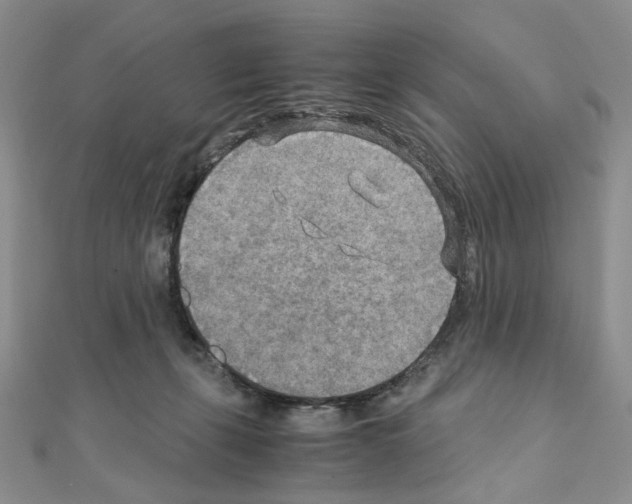 X0000110930271200907301630