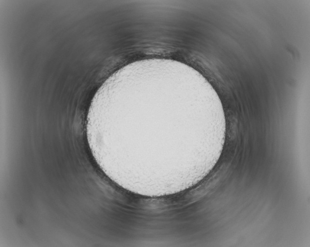 X0000110930273200907301630