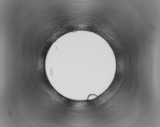 X0000110930274200907301630