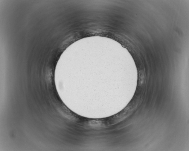 X0000110930279200907301630