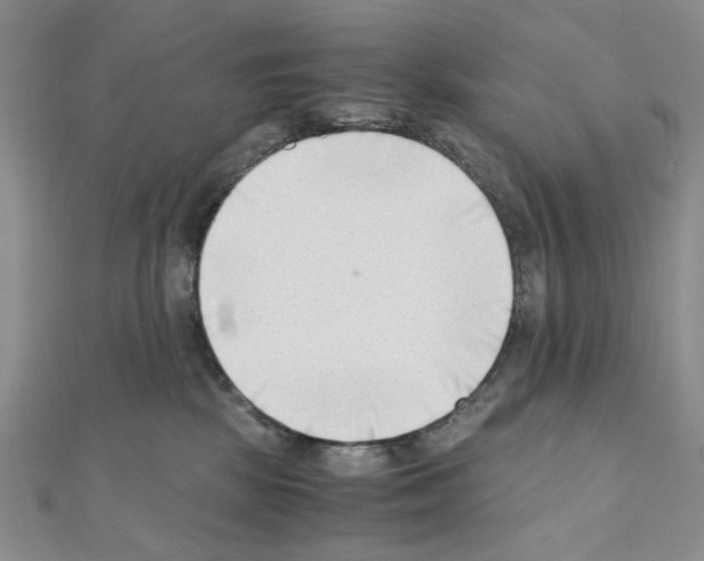 X0000110930281200907301630