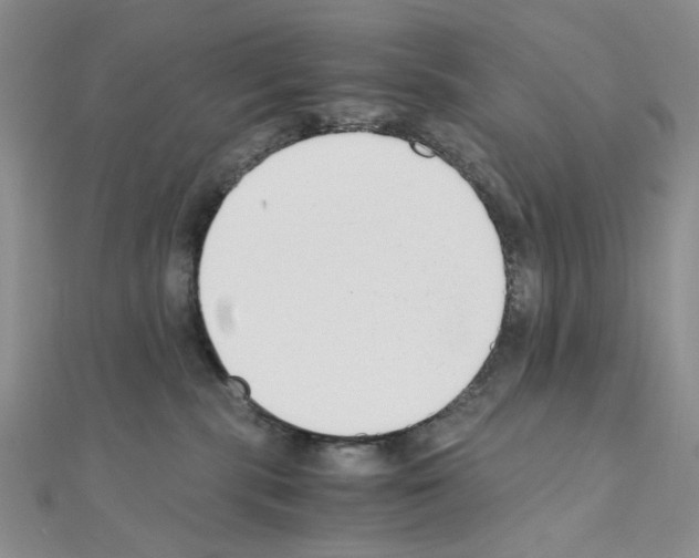 X0000110930283200907301630
