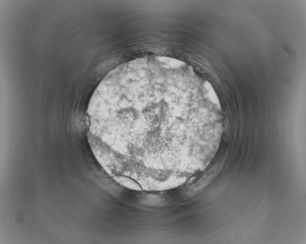 X0000110930285200907301630