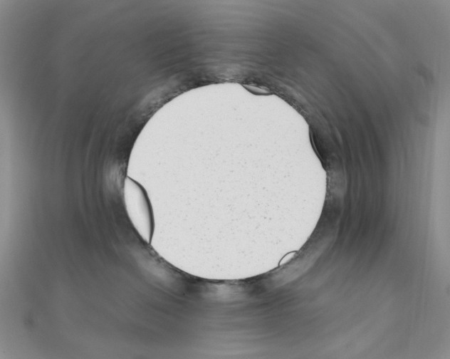 X0000110930286200907301630