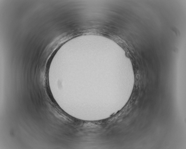 X0000110930290200907301629