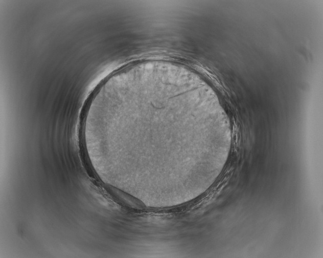 X0000110930292200907301629