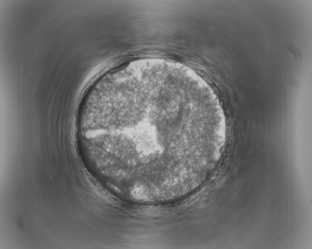X0000110930293200907301629
