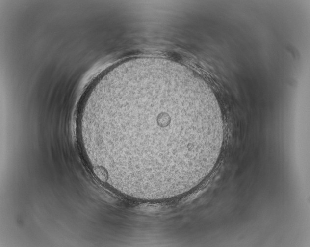 X0000110930294200907301629