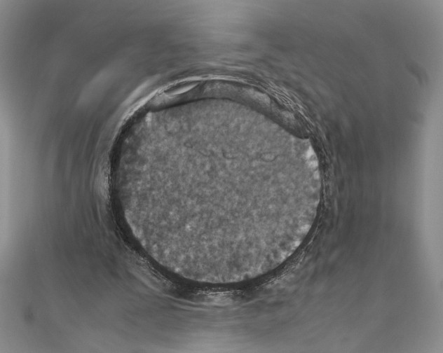 X0000110930295200907301629