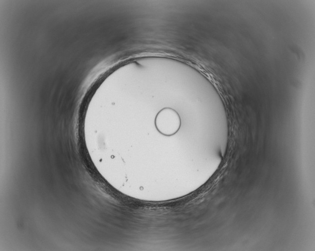 X0000110930296200907301629