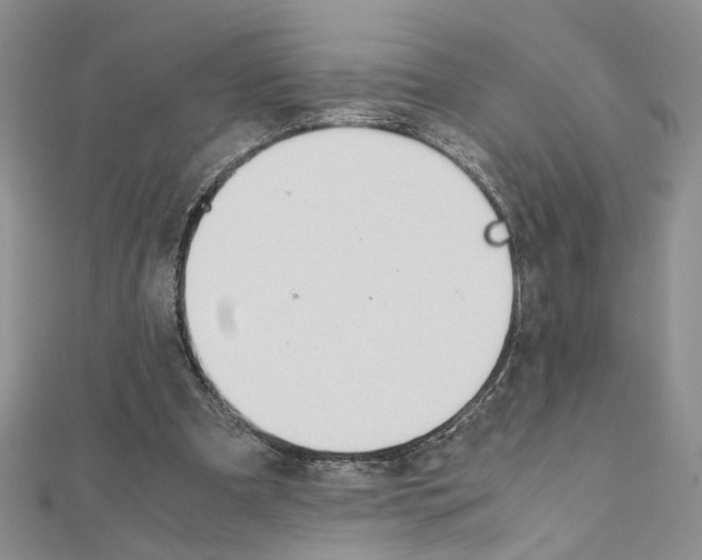 X0000110930297200907301629