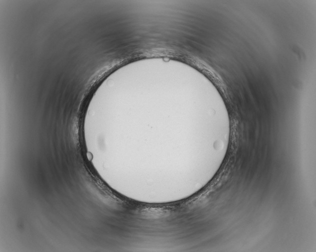X0000110930298200907301629