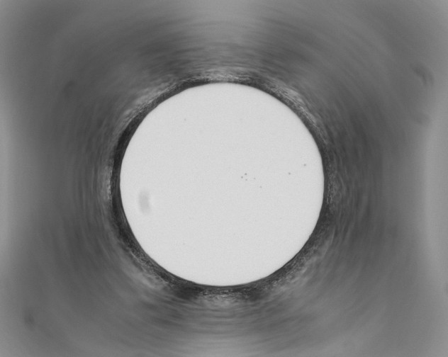 X0000110930299200907301629