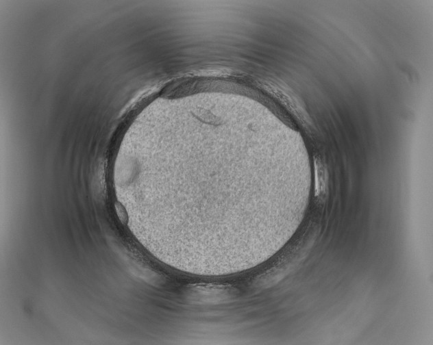 X0000110930300200907301629