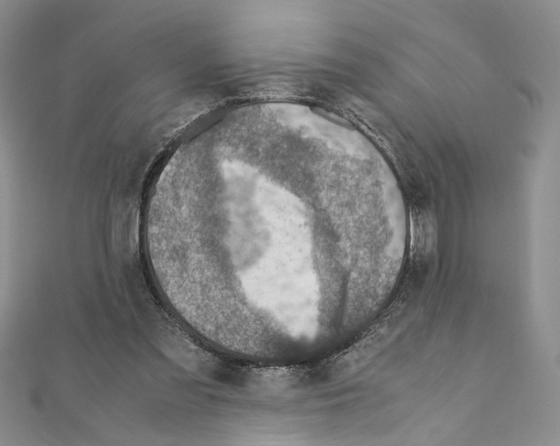 X0000110930301200907301629