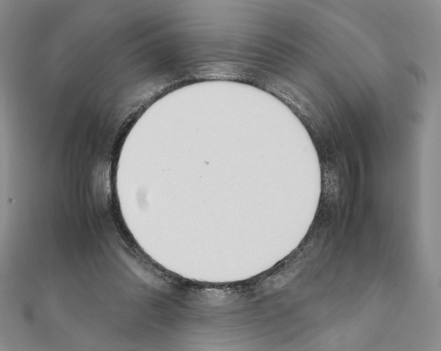 X0000110930302200907301629