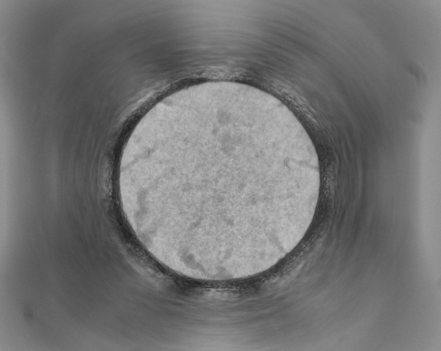 X0000110930303200907301629