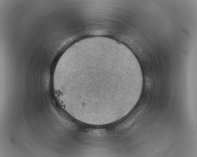 X0000110930304200907301629