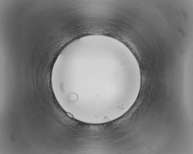 X0000110930305200907301629