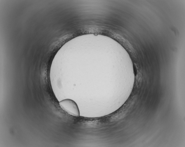 X0000110930306200907301629