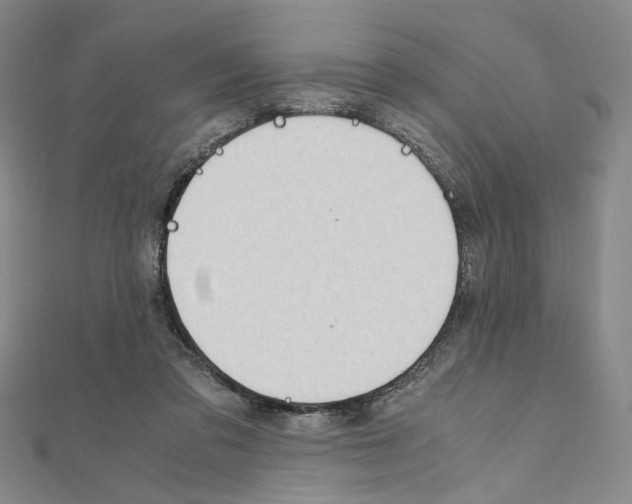 X0000110930309200907301629