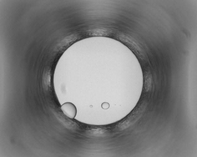 X0000110930310200907301629