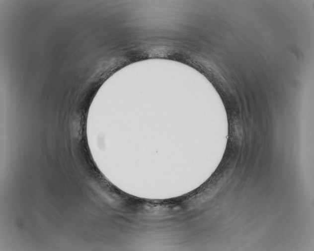 X0000110930311200907301629