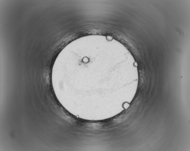 X0000110930313200907301629