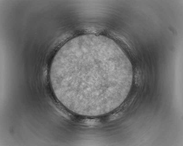 X0000110930314200907301629