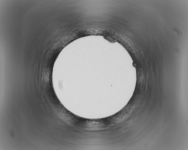 X0000110930315200907301629