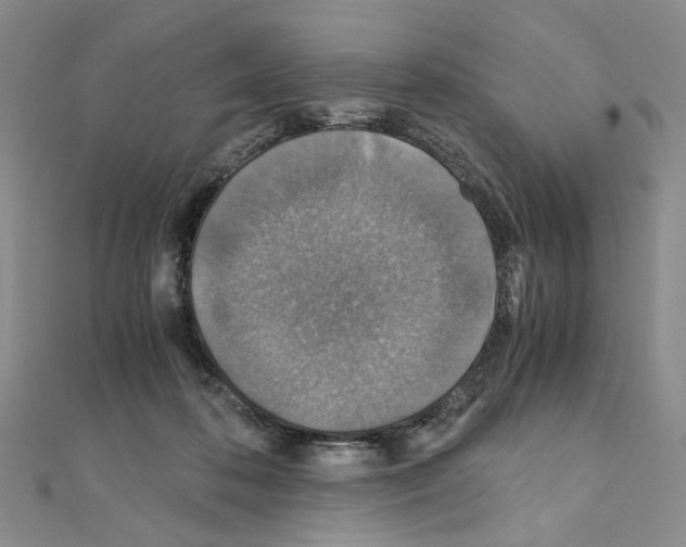 X0000110930316200907301629