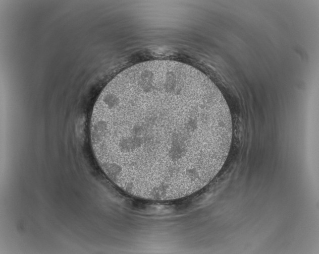 X0000110930319200907301629