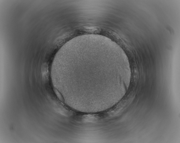 X0000110930320200907301629
