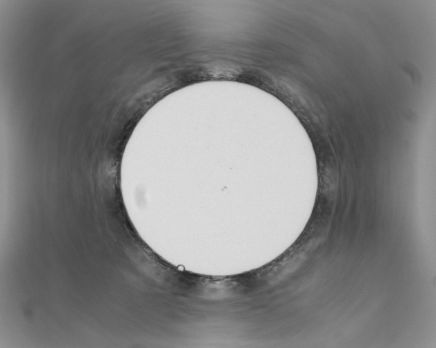 X0000110930321200907301629