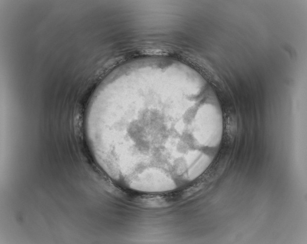 X0000110930322200907301629