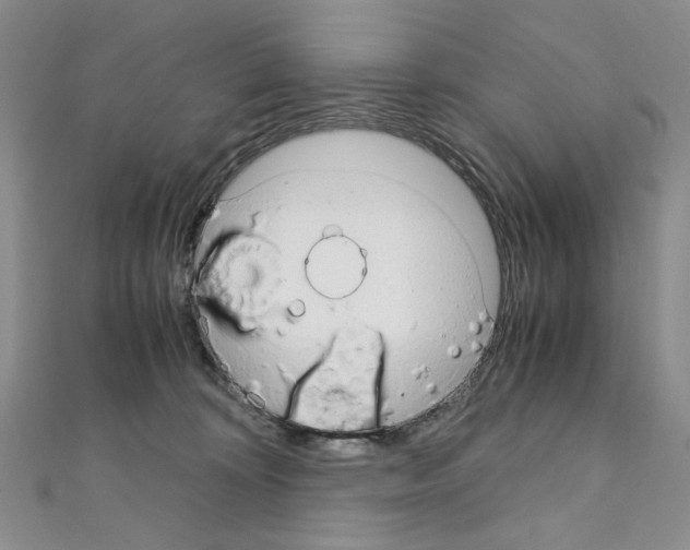 X0000110930324200907301629