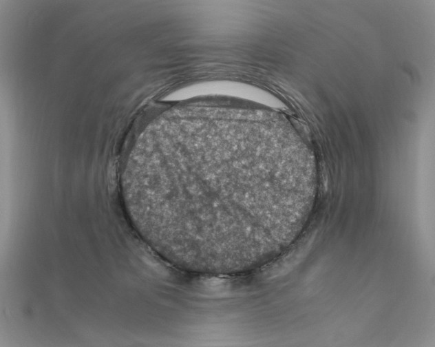 X0000110930325200907301629