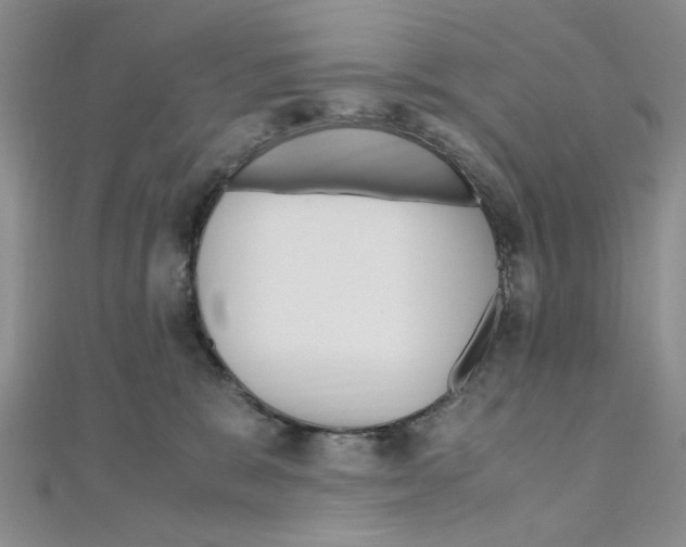 X0000110930327200907301629