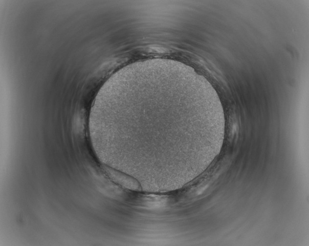X0000110930328200907301629