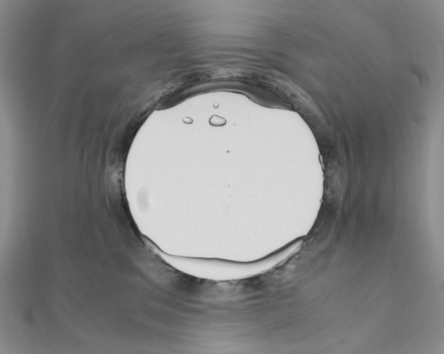 X0000110930329200907301629
